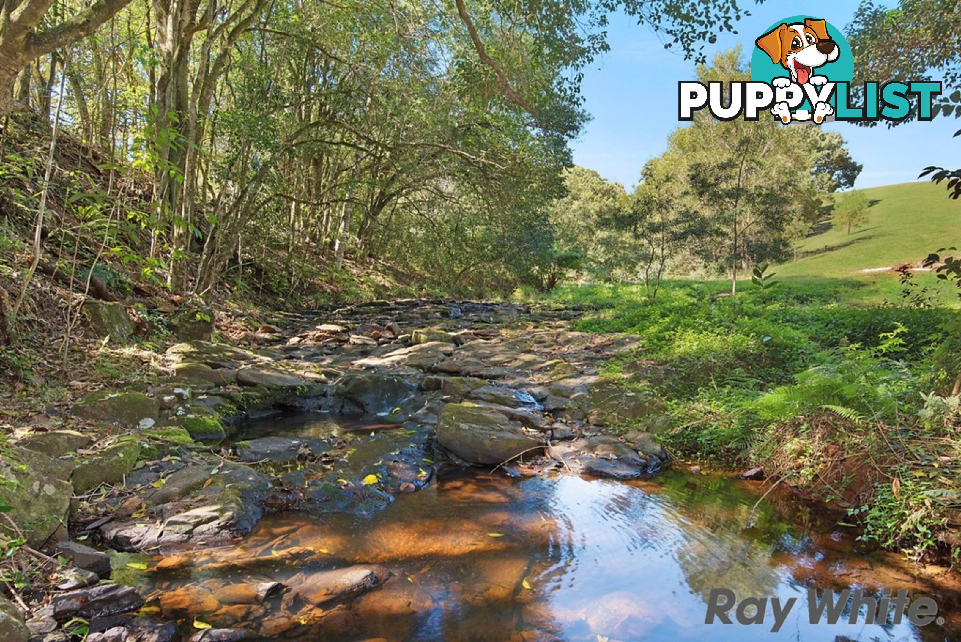 116 Ruddle Drive REESVILLE QLD 4552