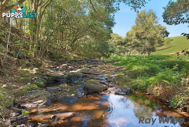 116 Ruddle Drive REESVILLE QLD 4552