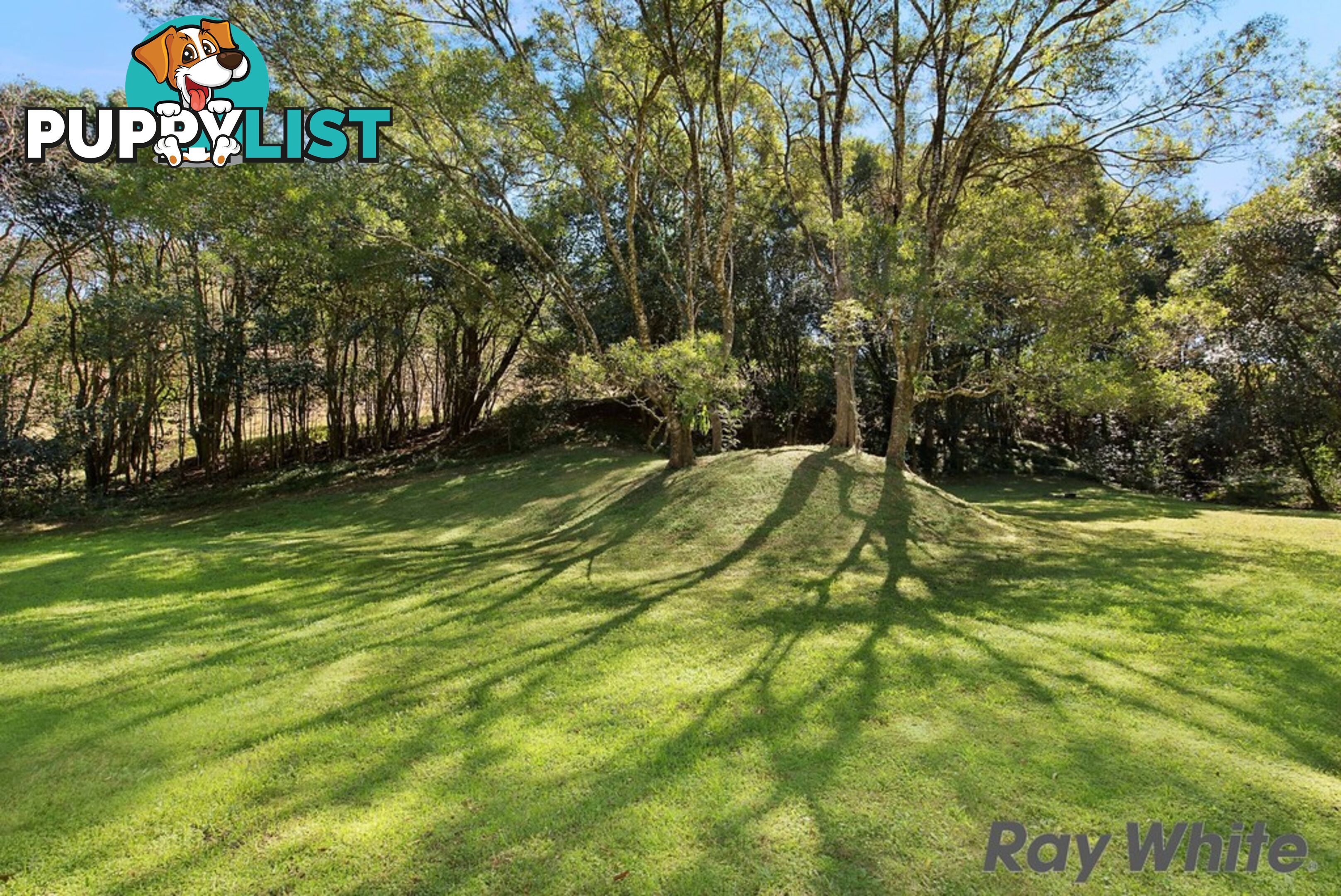116 Ruddle Drive REESVILLE QLD 4552