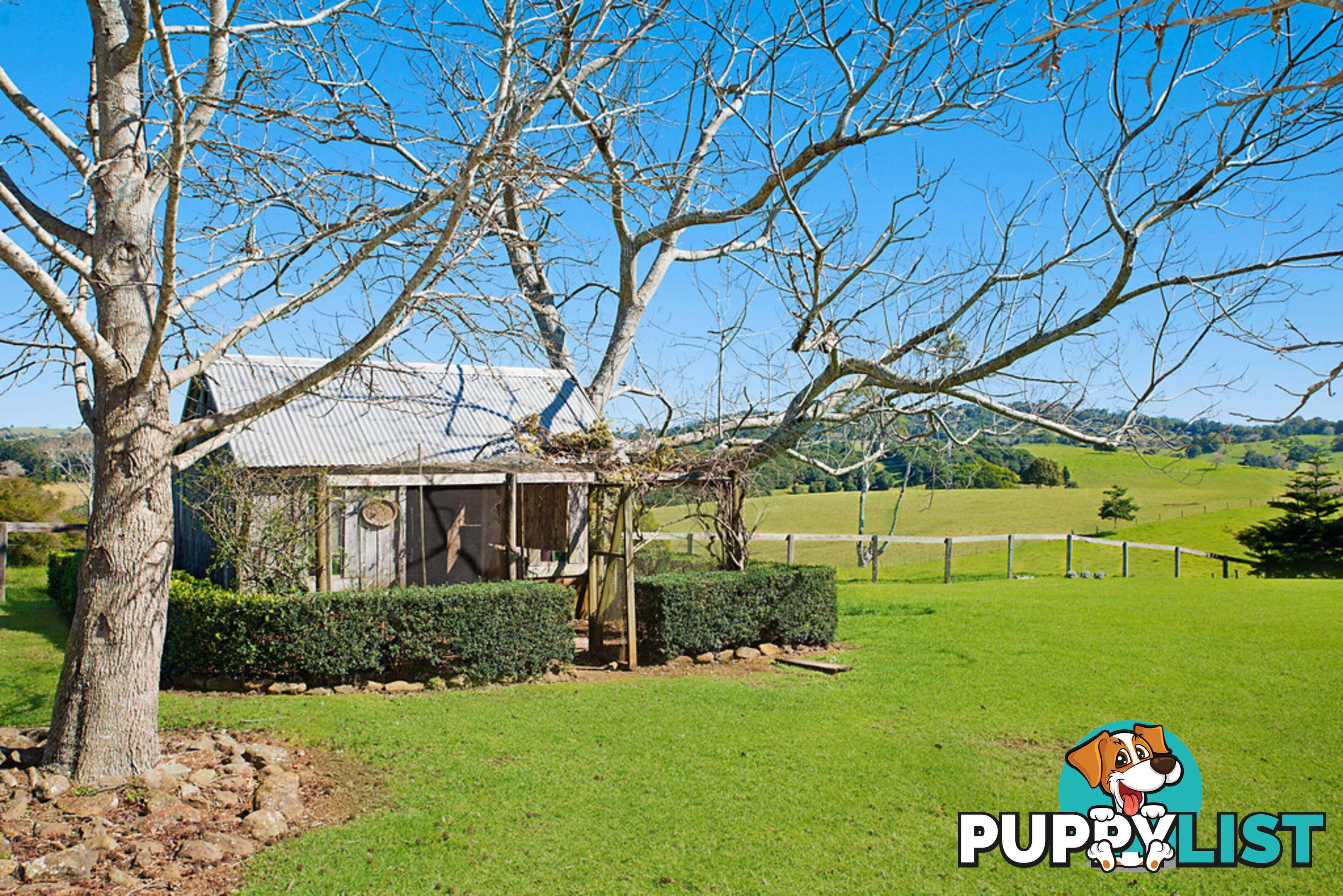 170 Kings Lane REESVILLE QLD 4552