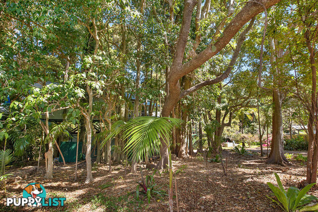 4 Mary Cairncross Avenue MALENY QLD 4552