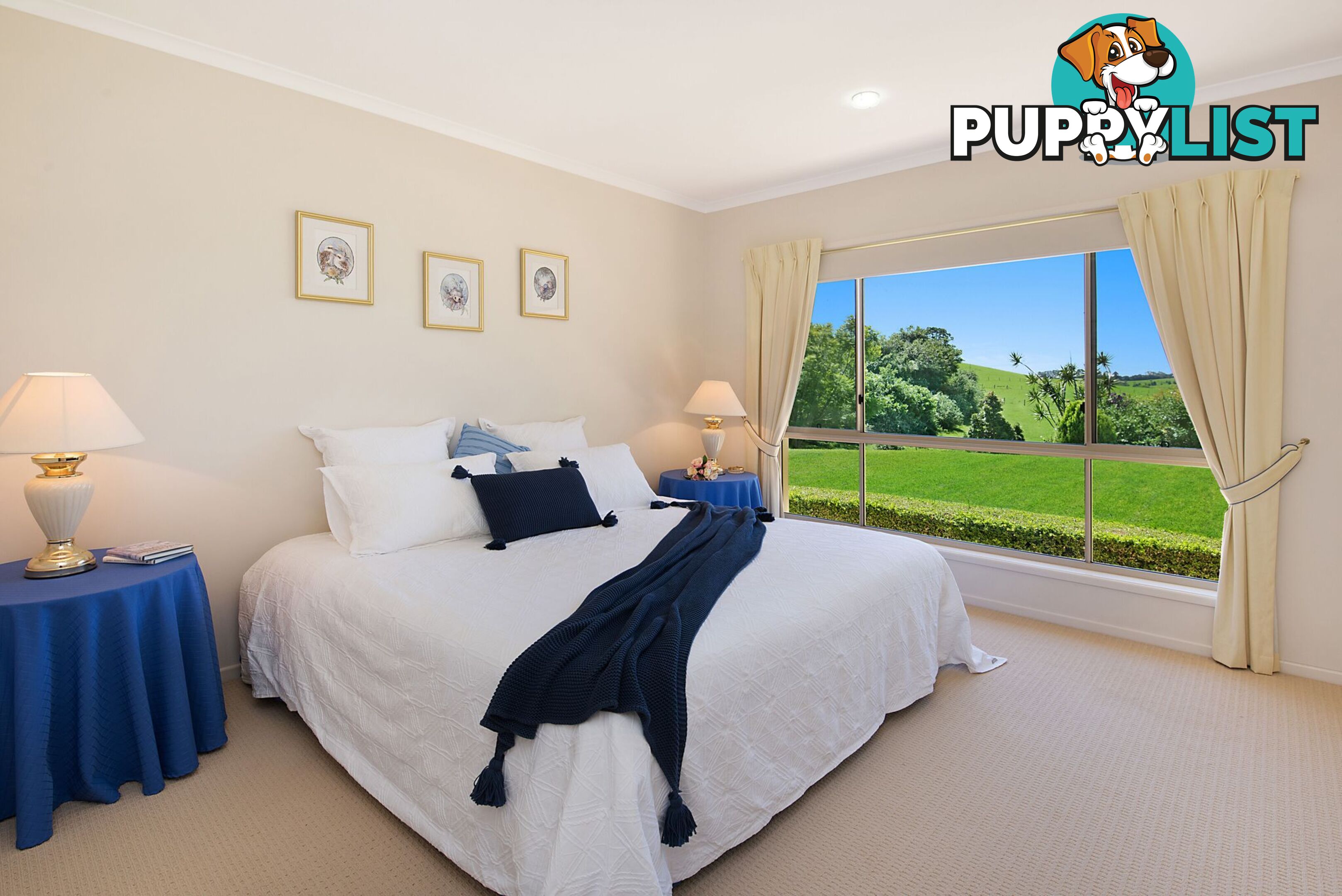 46 Denning Road REESVILLE QLD 4552