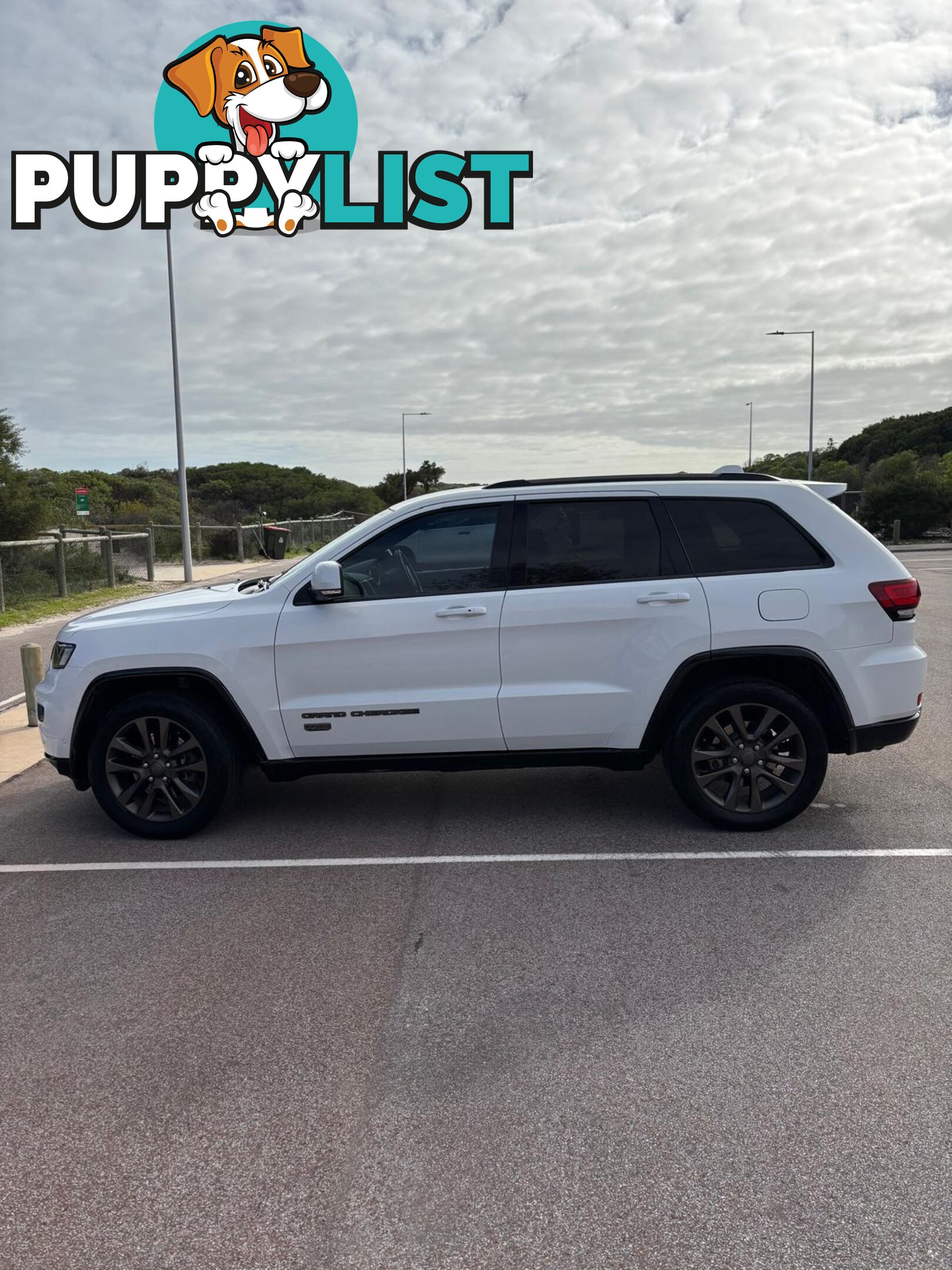 2016 Jeep Grand Cherokee WK MY16 75THANNIVERSARY SUV Automatic