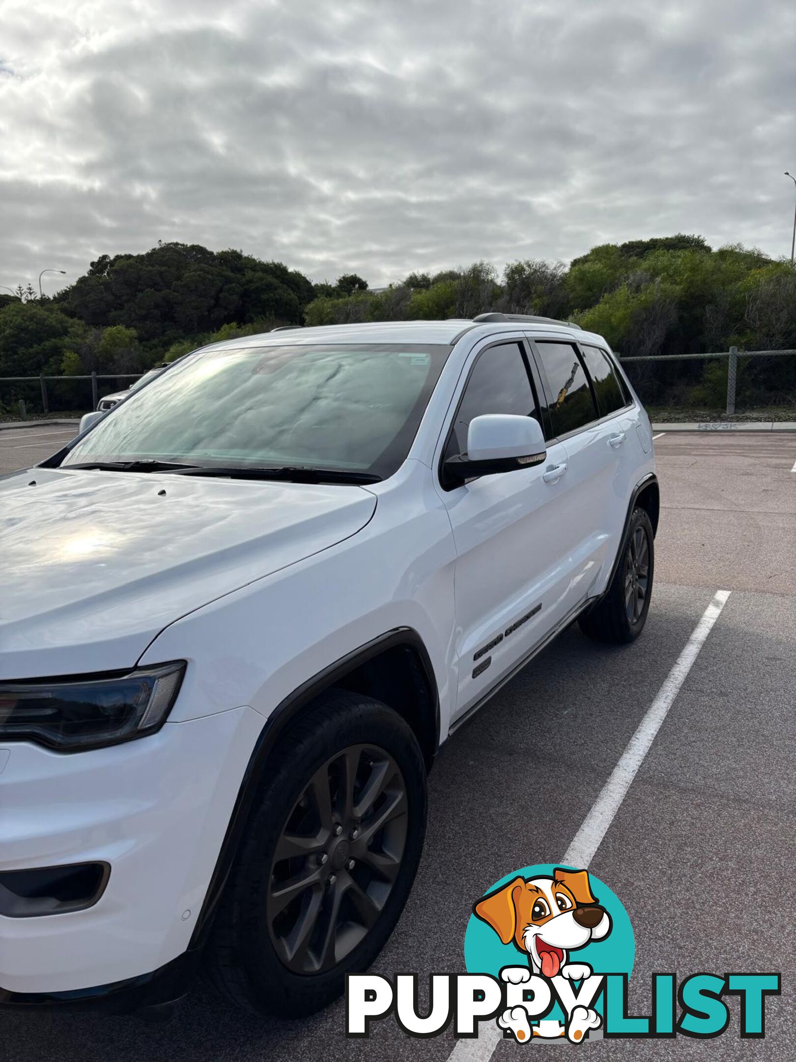 2016 Jeep Grand Cherokee WK MY16 75THANNIVERSARY SUV Automatic
