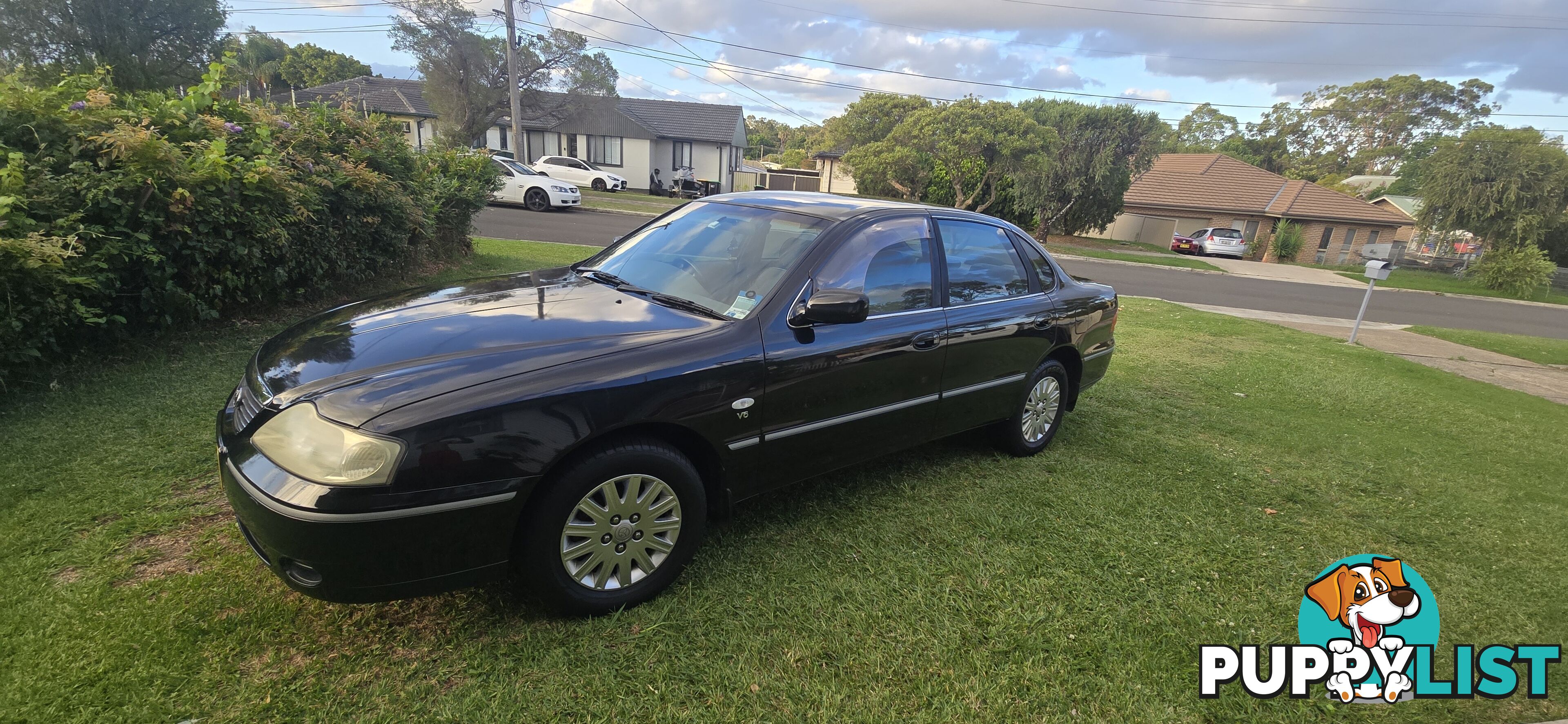 Gxi Avalon Automatic