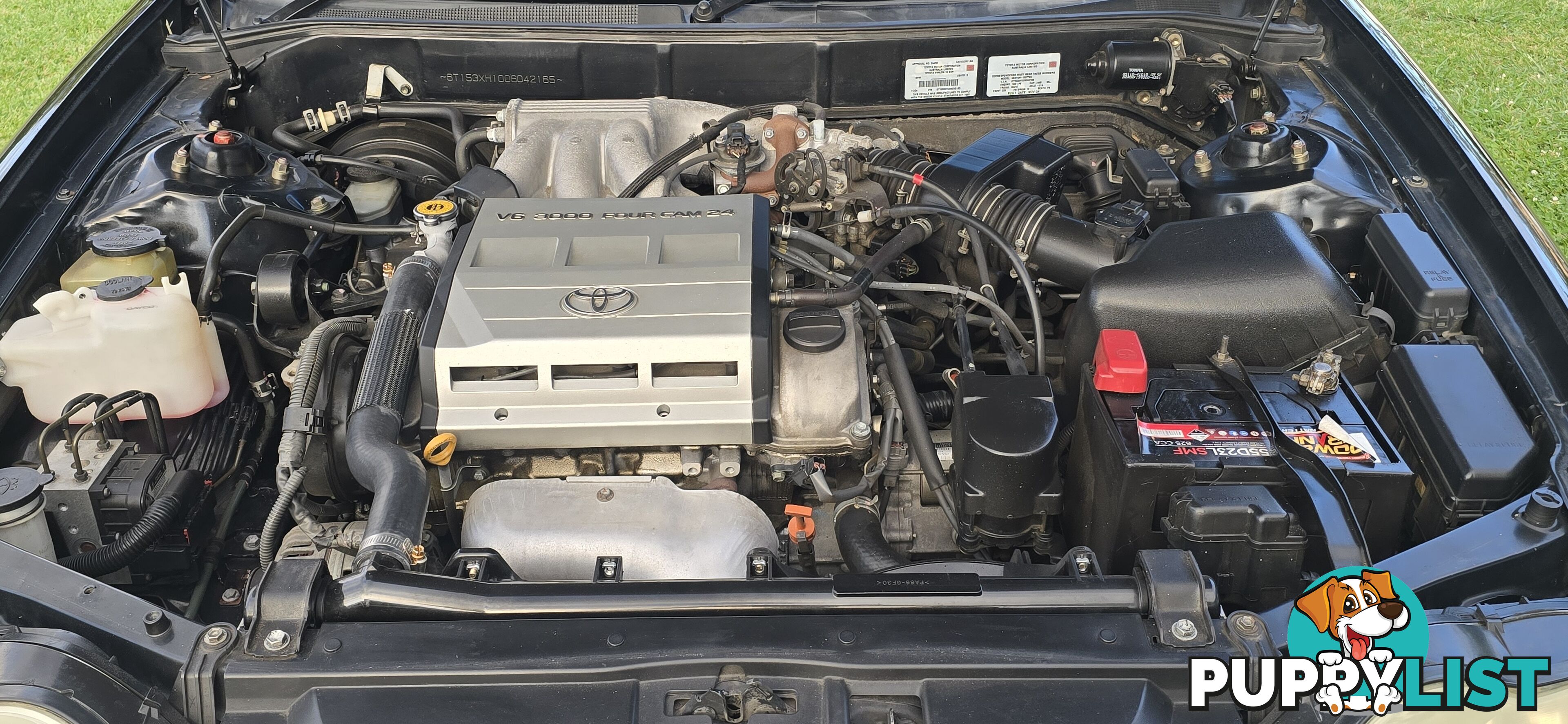 Gxi Avalon Automatic