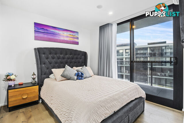 97/9 Irving Street PHILLIP ACT 2606