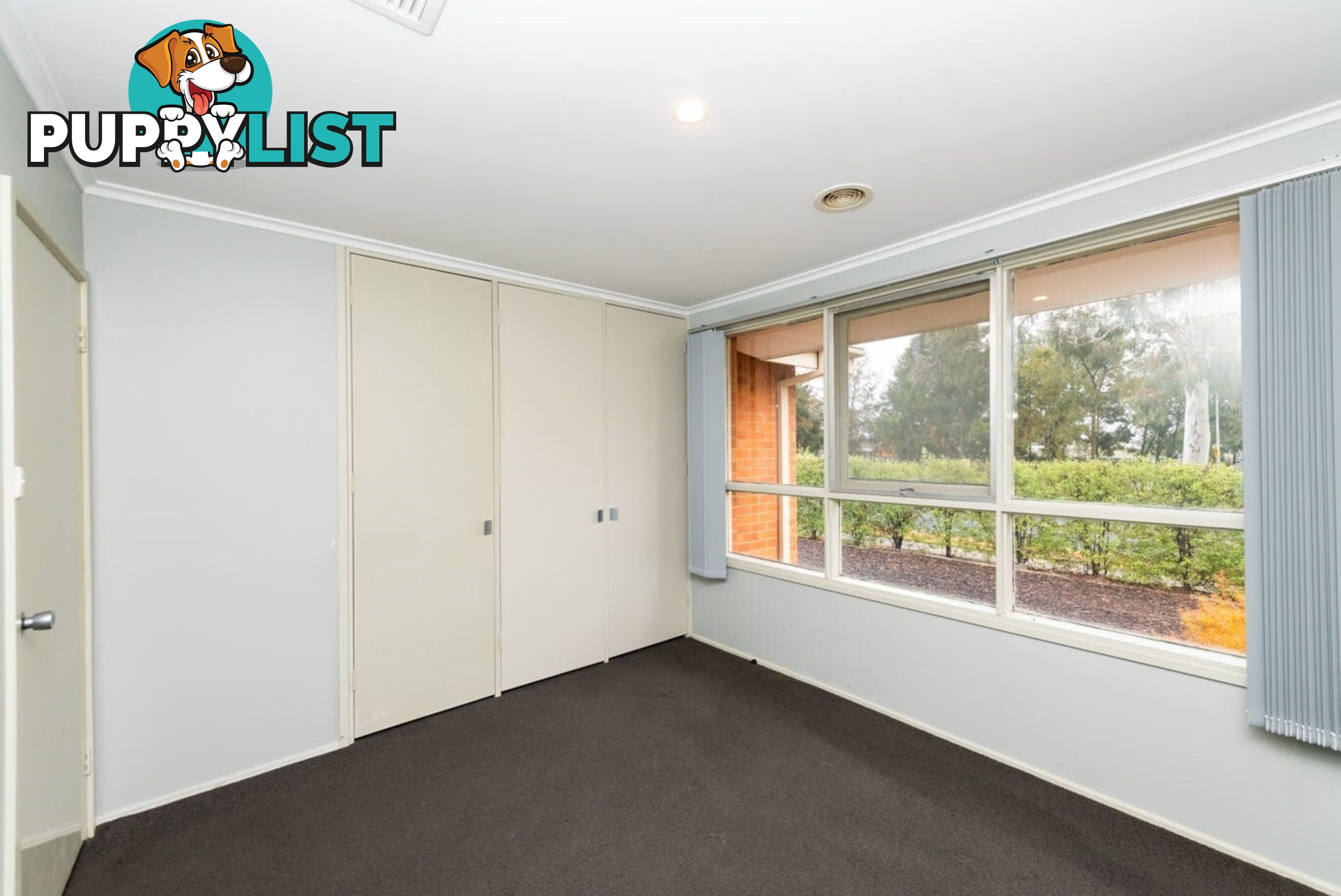 160 Beasley Street TORRENS ACT 2607