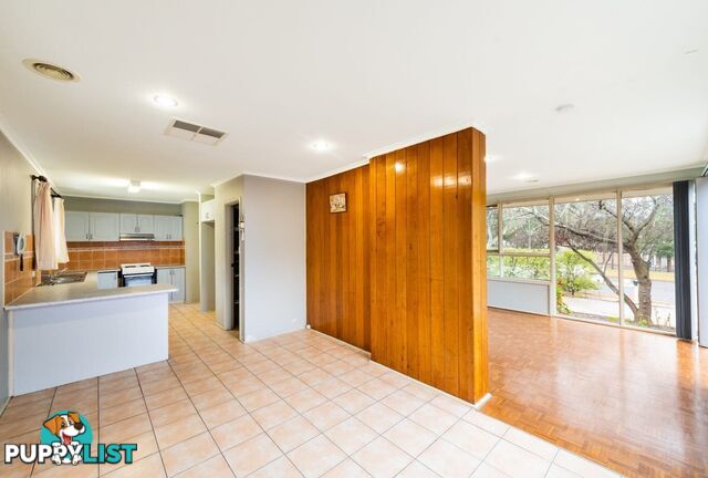 160 Beasley Street TORRENS ACT 2607