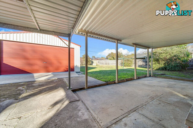 160 Beasley Street TORRENS ACT 2607