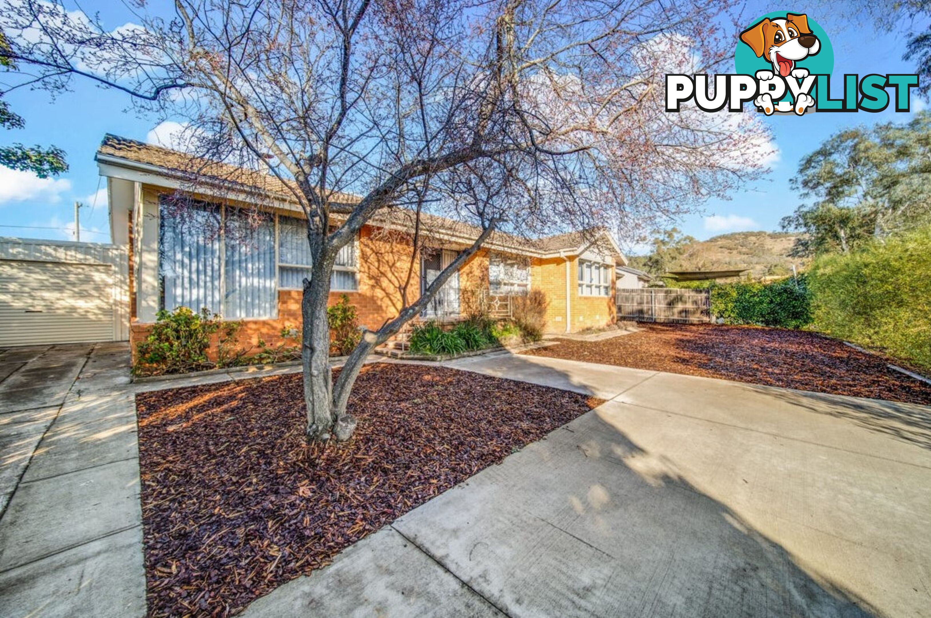 160 Beasley Street TORRENS ACT 2607