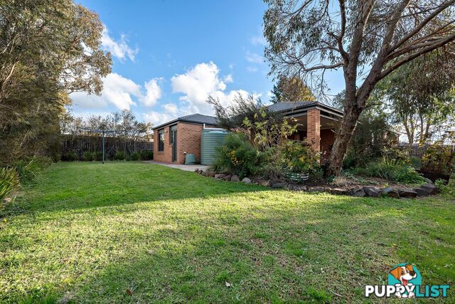 54 Macfarlane Burnet Avenue MACGREGOR ACT 2615