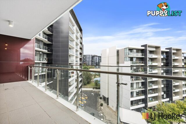 72/7 Irving Street PHILLIP ACT 2606