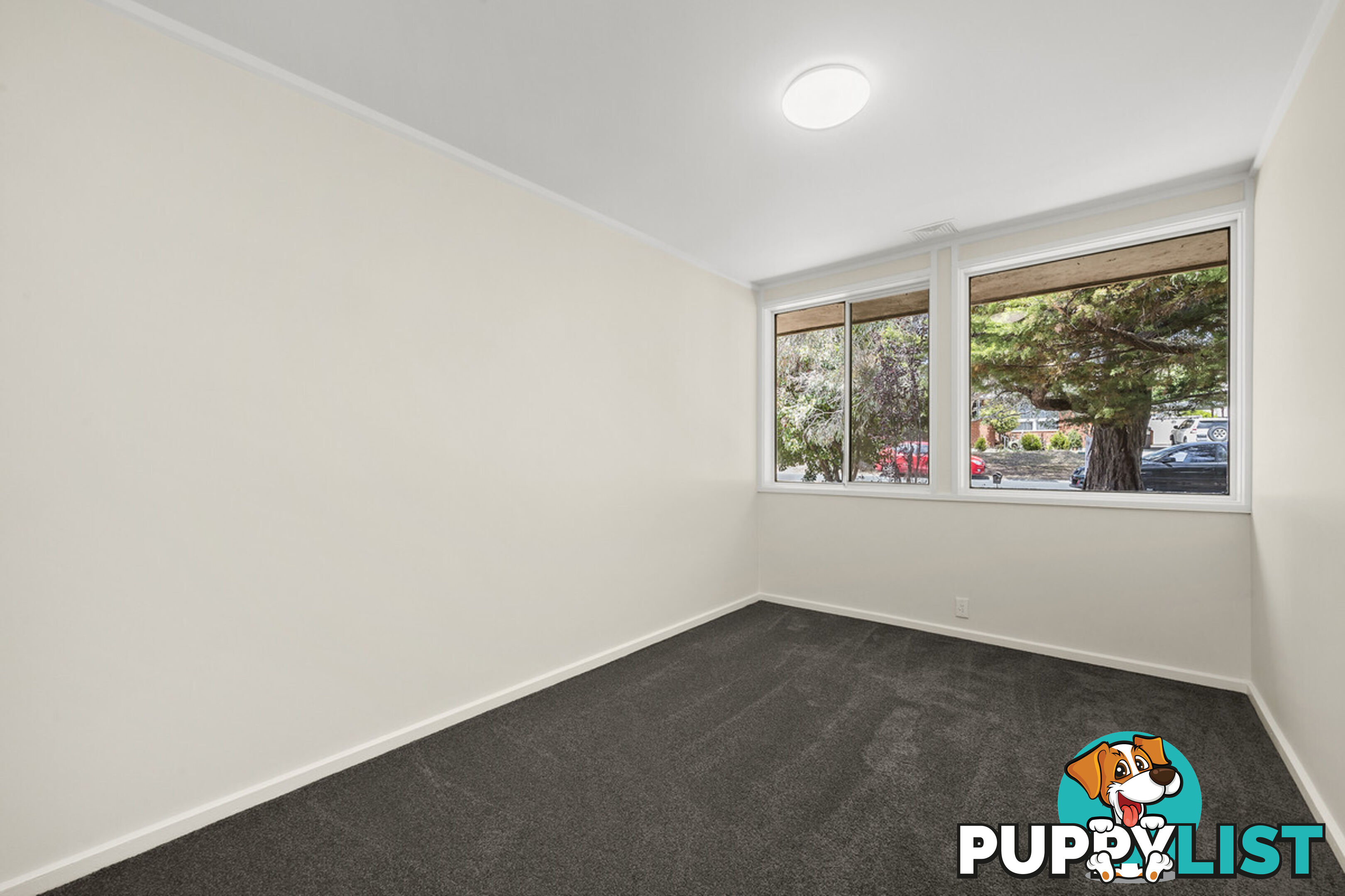 16 Nelumbo Street RIVETT ACT 2611