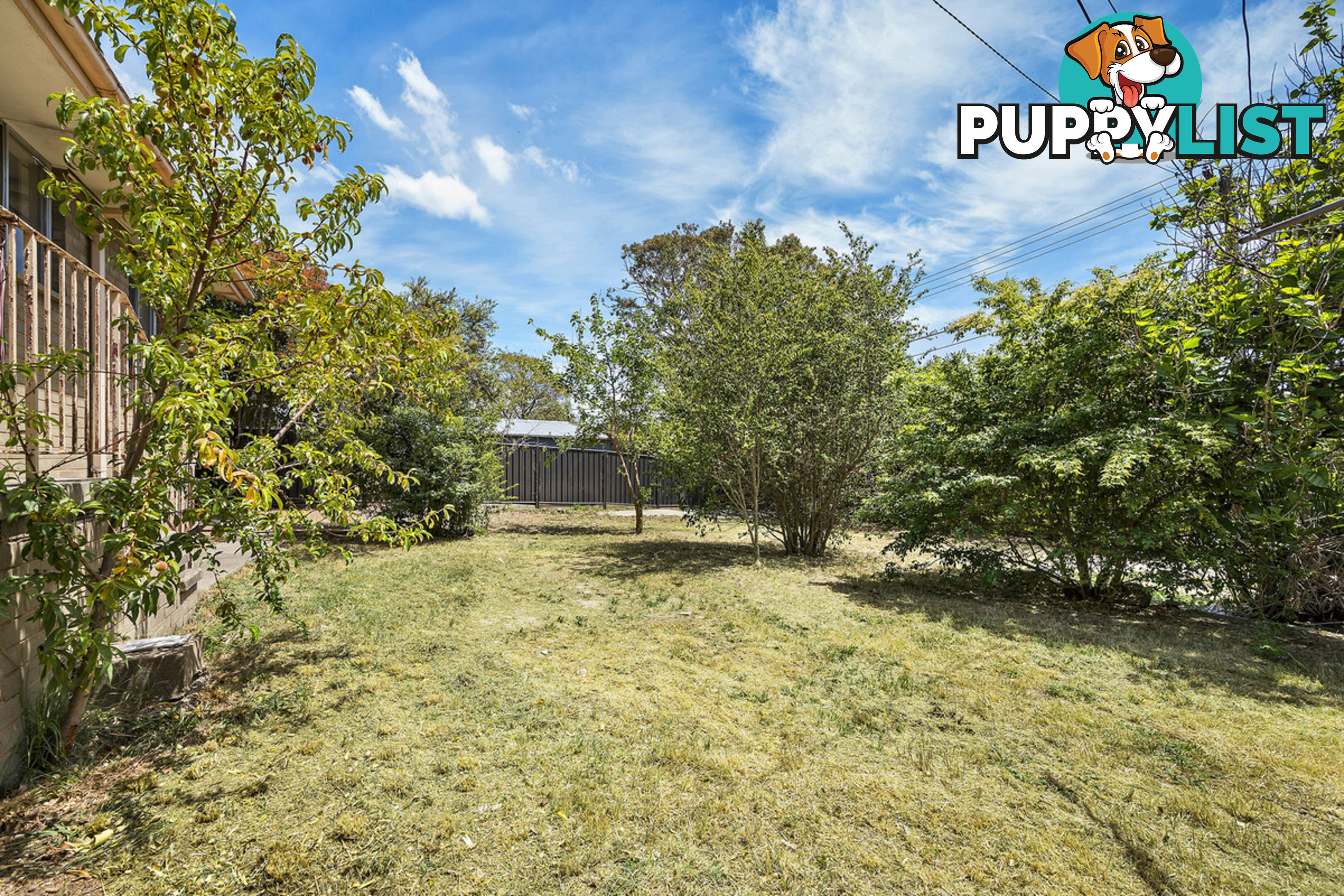 16 Nelumbo Street RIVETT ACT 2611