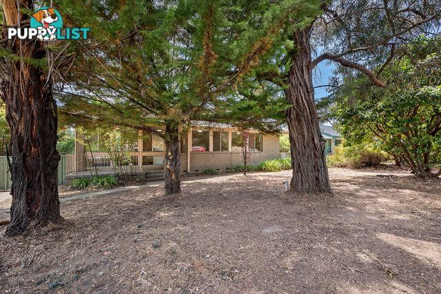 16 Nelumbo Street RIVETT ACT 2611