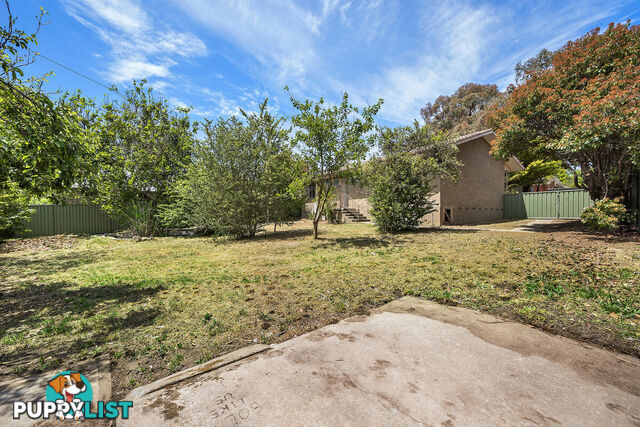 16 Nelumbo Street RIVETT ACT 2611