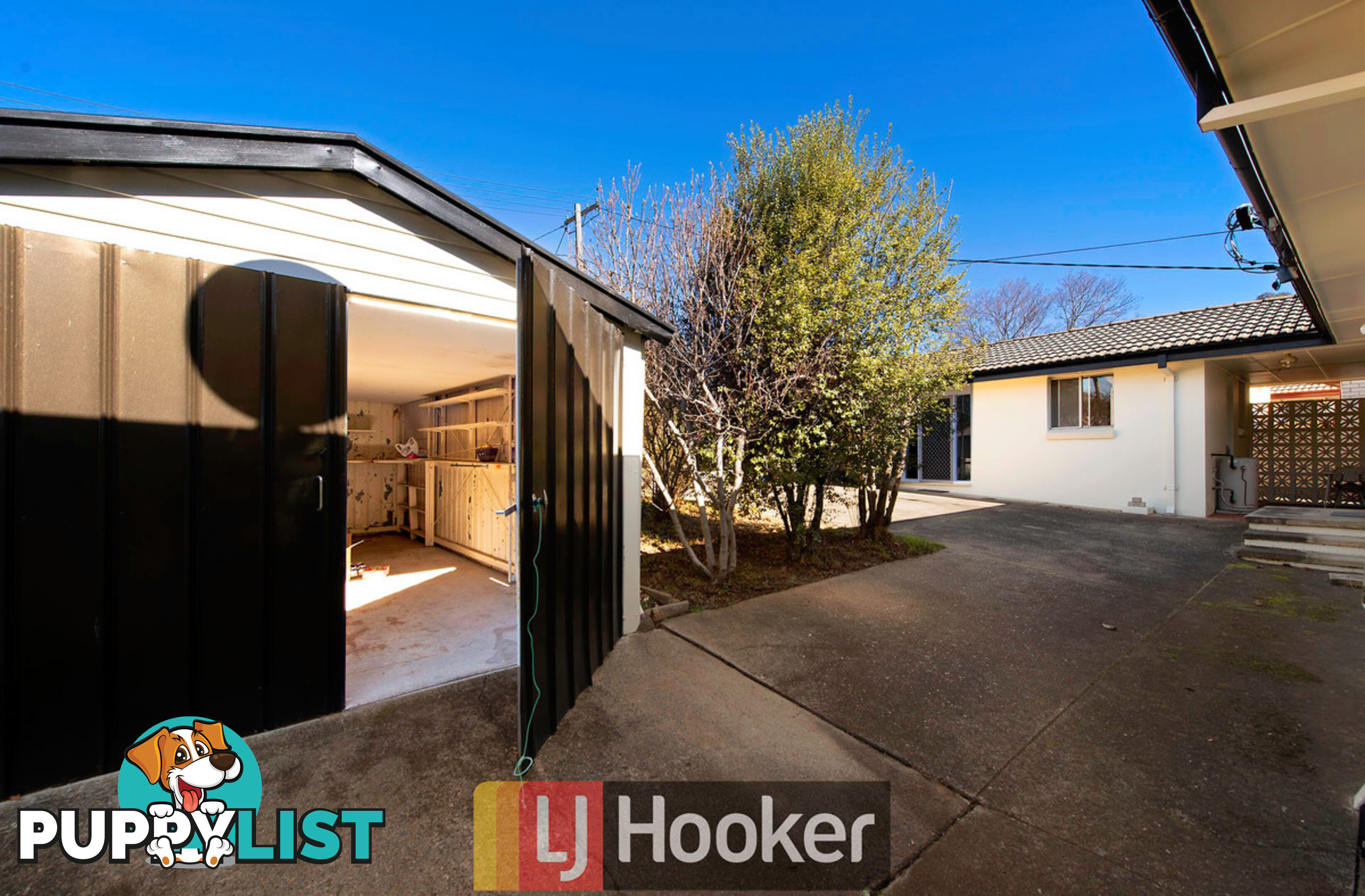 17 Dunstan Street CURTIN ACT 2605