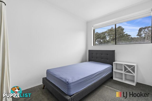 78/4 Wilkins Street MAWSON ACT 2607