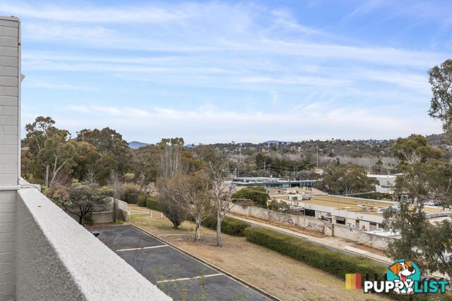 78/4 Wilkins Street MAWSON ACT 2607