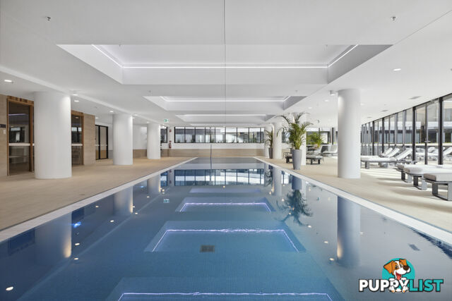 1511/6 Furzer Street PHILLIP ACT 2606