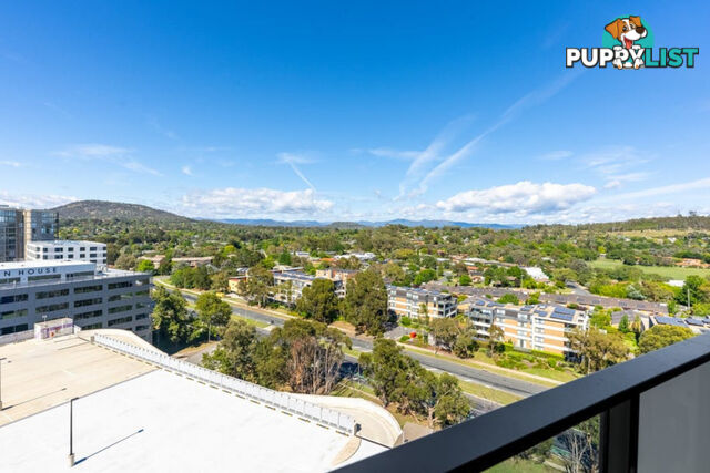 1511/6 Furzer Street PHILLIP ACT 2606