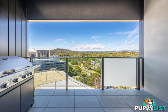 1511/6 Furzer Street PHILLIP ACT 2606