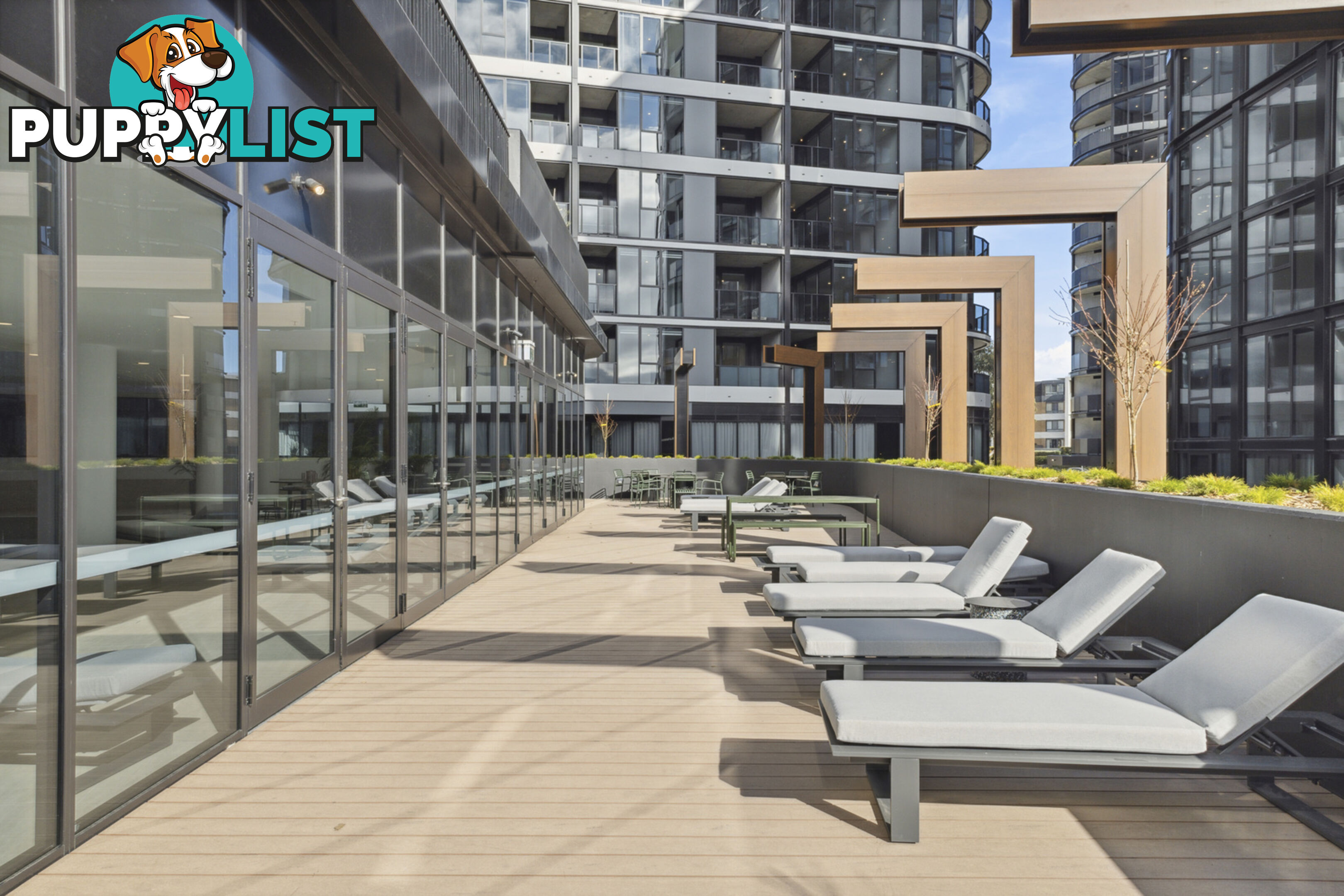 1511/6 Furzer Street PHILLIP ACT 2606