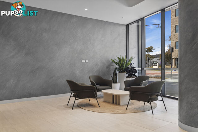 1511/6 Furzer Street PHILLIP ACT 2606