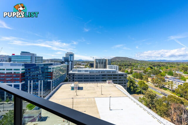 1511/6 Furzer Street PHILLIP ACT 2606