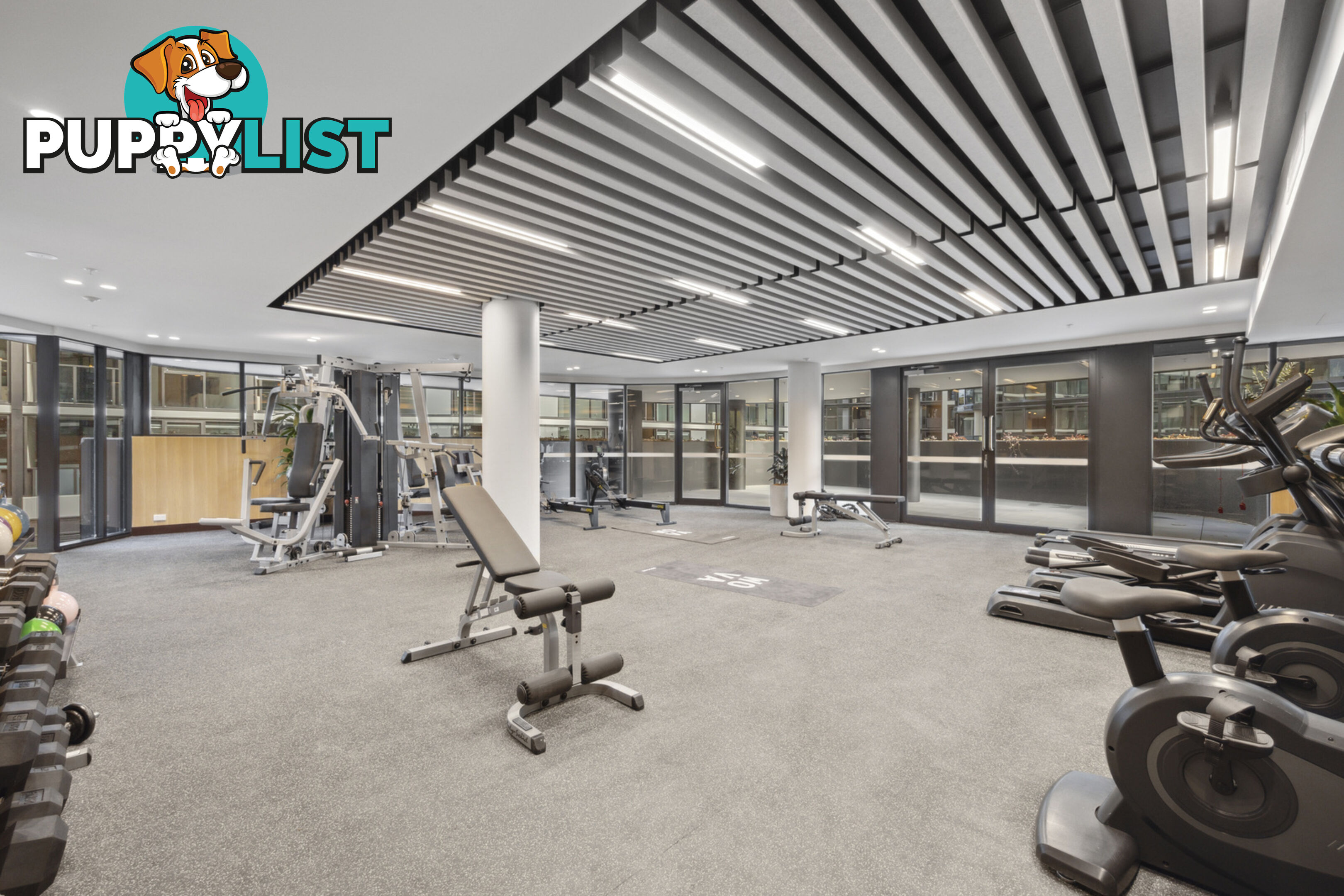 1511/6 Furzer Street PHILLIP ACT 2606