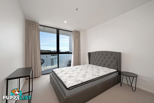 215/7 Irving Street PHILLIP ACT 2606