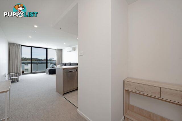 215/7 Irving Street PHILLIP ACT 2606