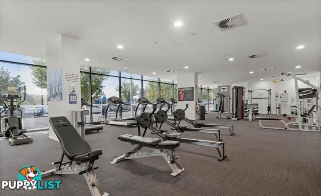 25/7 Irving Street PHILLIP ACT 2606