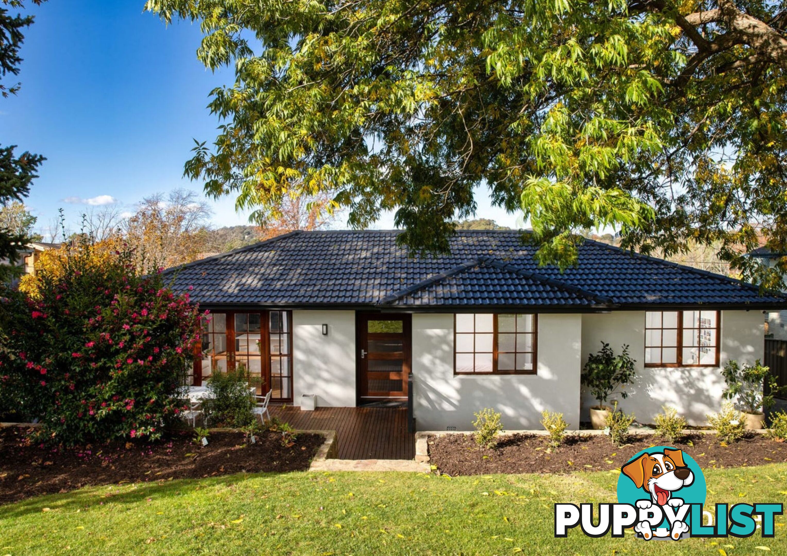 3 Parker Street CURTIN ACT 2605