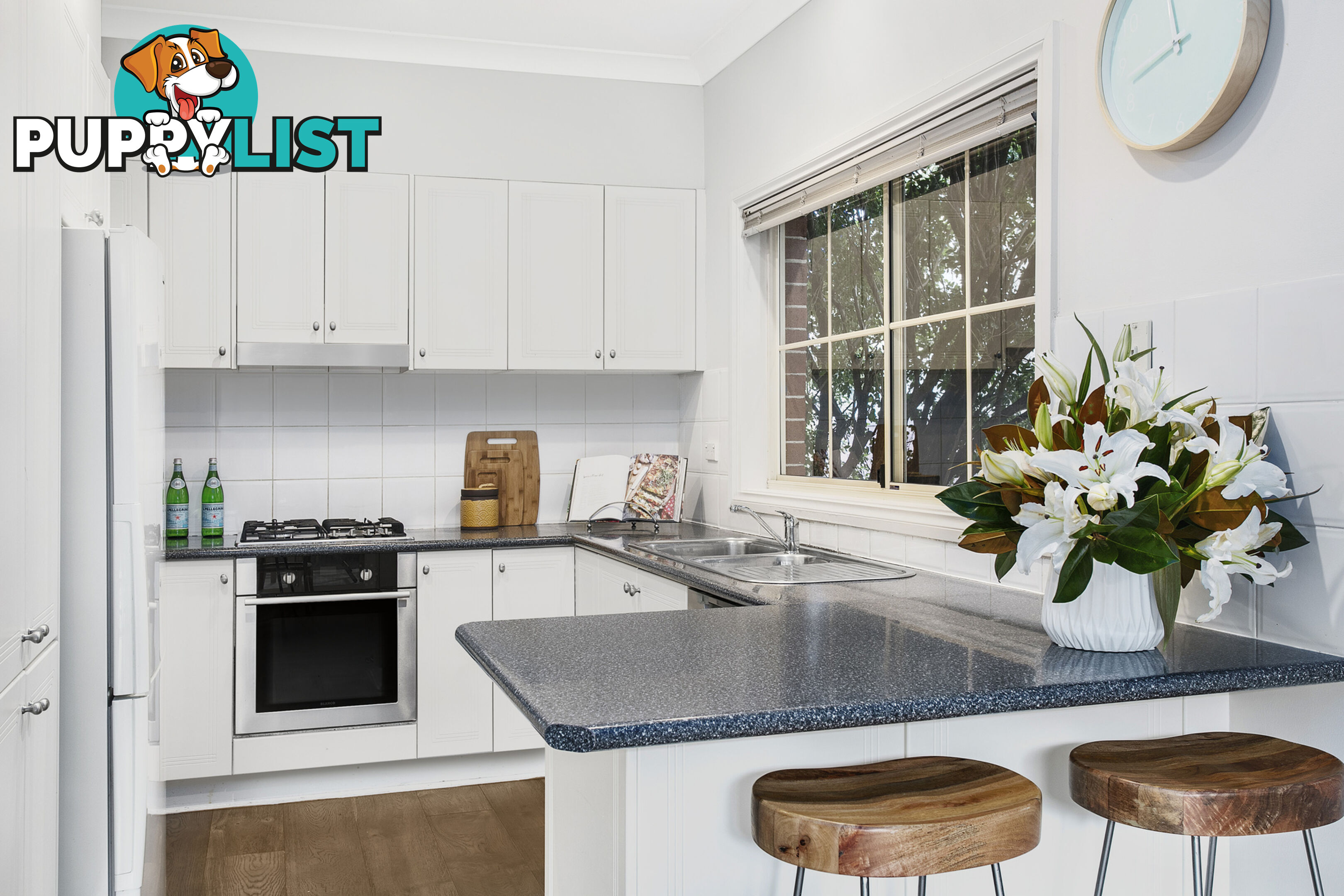 17 Elliott Lane WILLOUGHBY NSW 2068