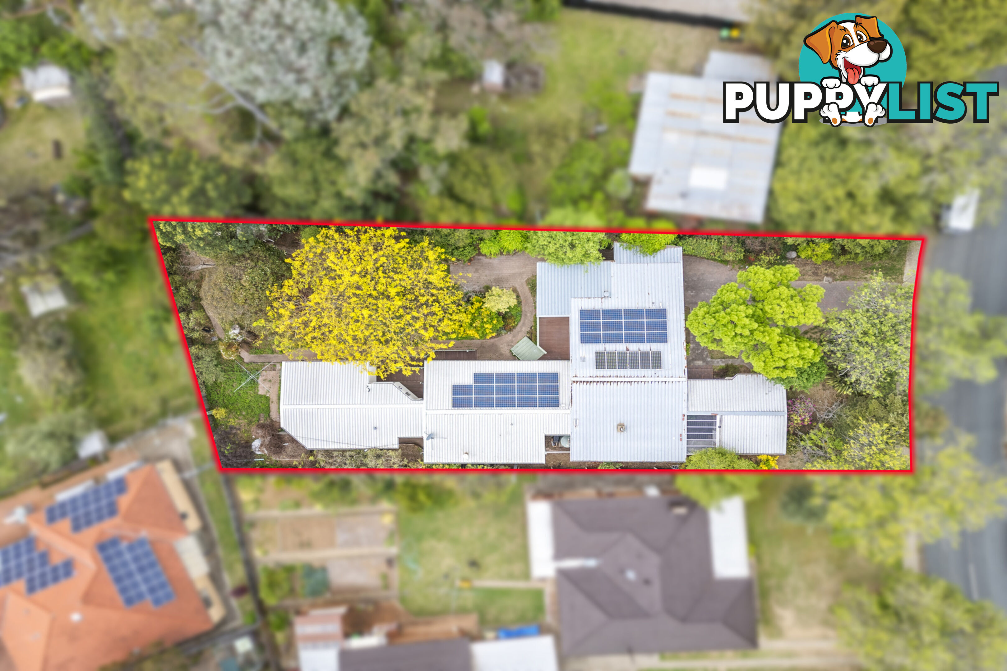 139 Duffy Street AINSLIE ACT 2602