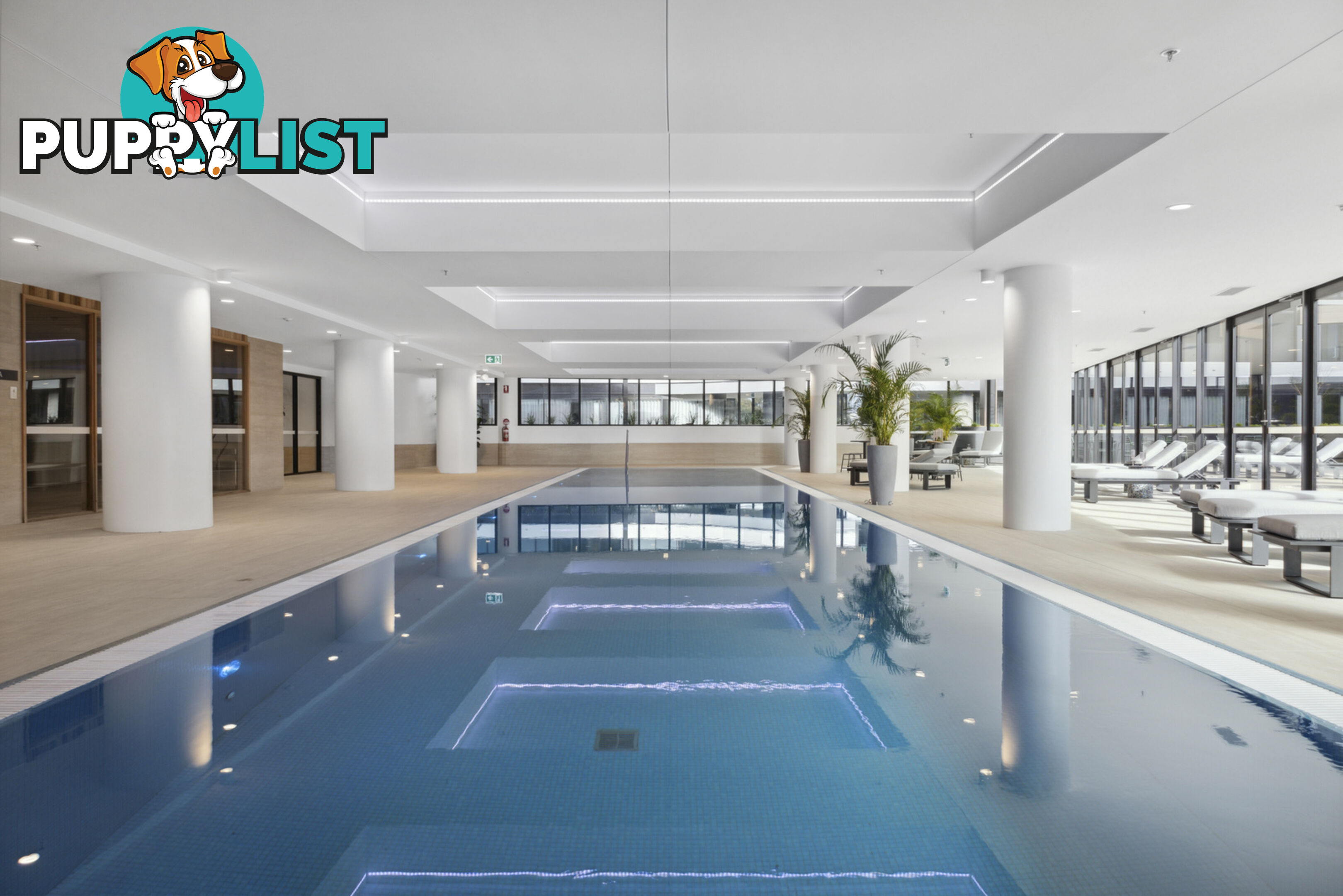 1412/2 Furzer Street PHILLIP ACT 2606
