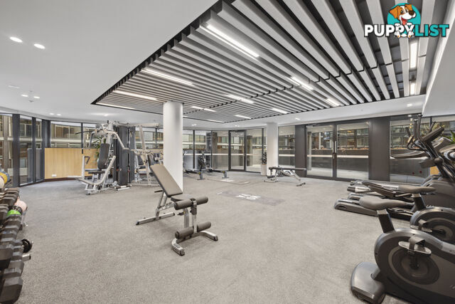 1412/2 Furzer Street PHILLIP ACT 2606