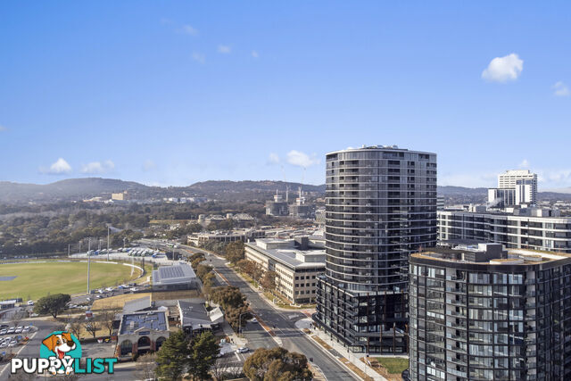 1106/2 Furzer Street PHILLIP ACT 2606