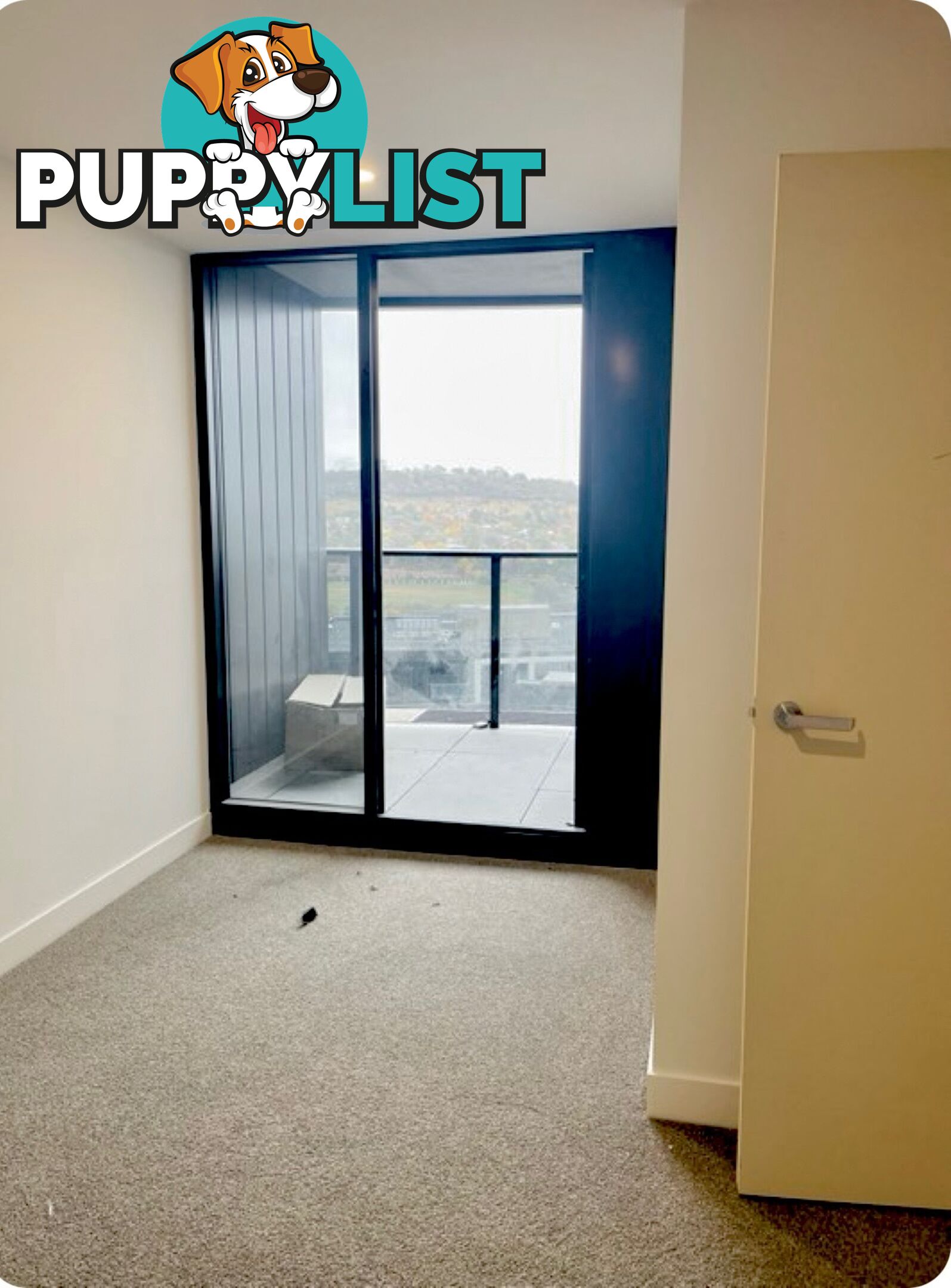 Unit 427/Door T2-17 Furzer Street PHILLIP ACT 2606