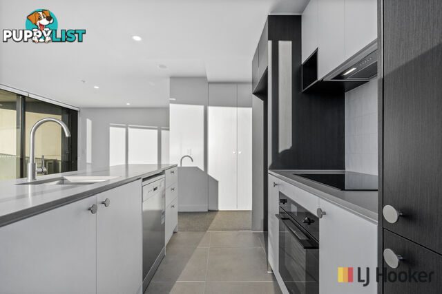 Unit 427/Door T2-17 Furzer Street PHILLIP ACT 2606