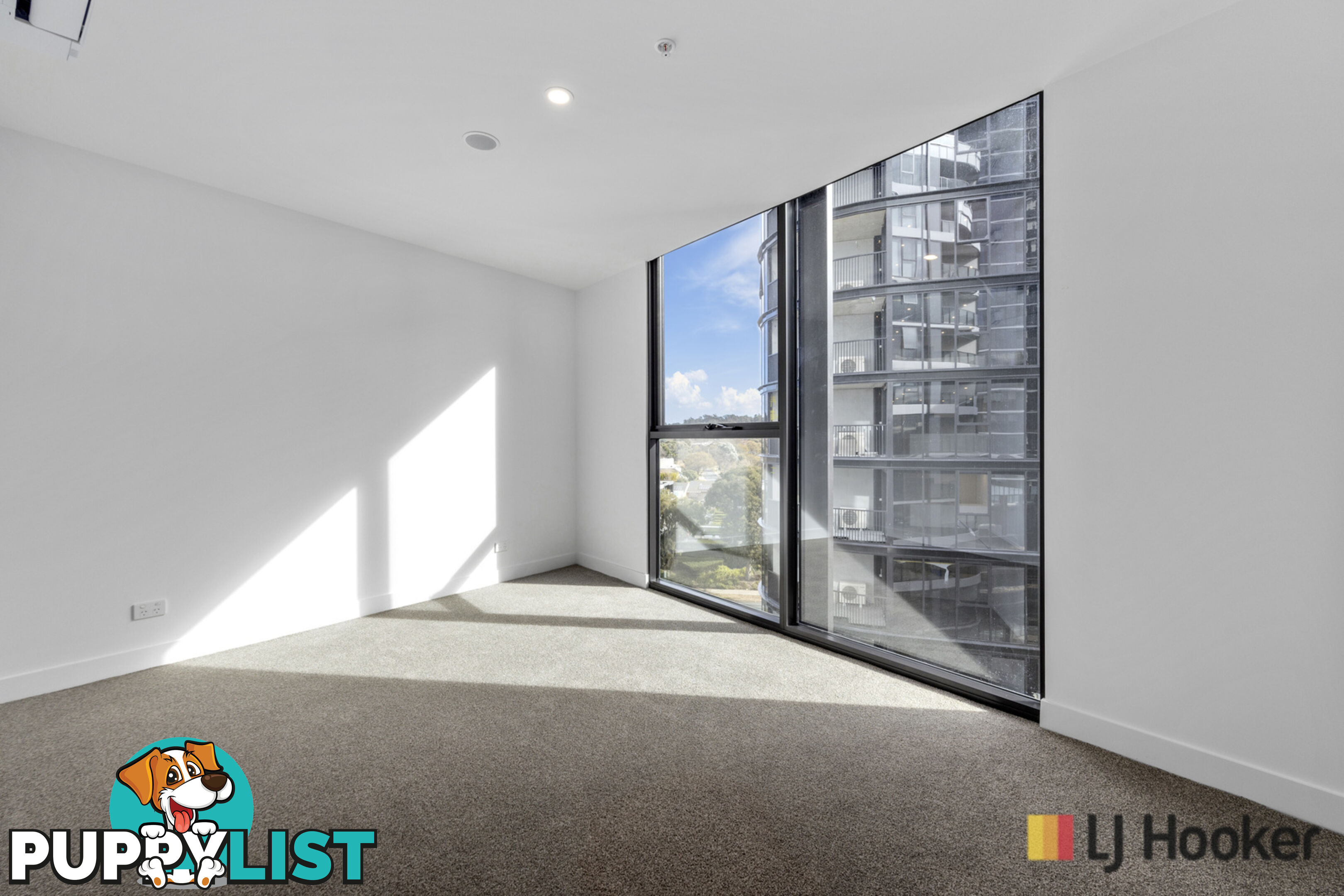 915/6 Furzer Street PHILLIP ACT 2606