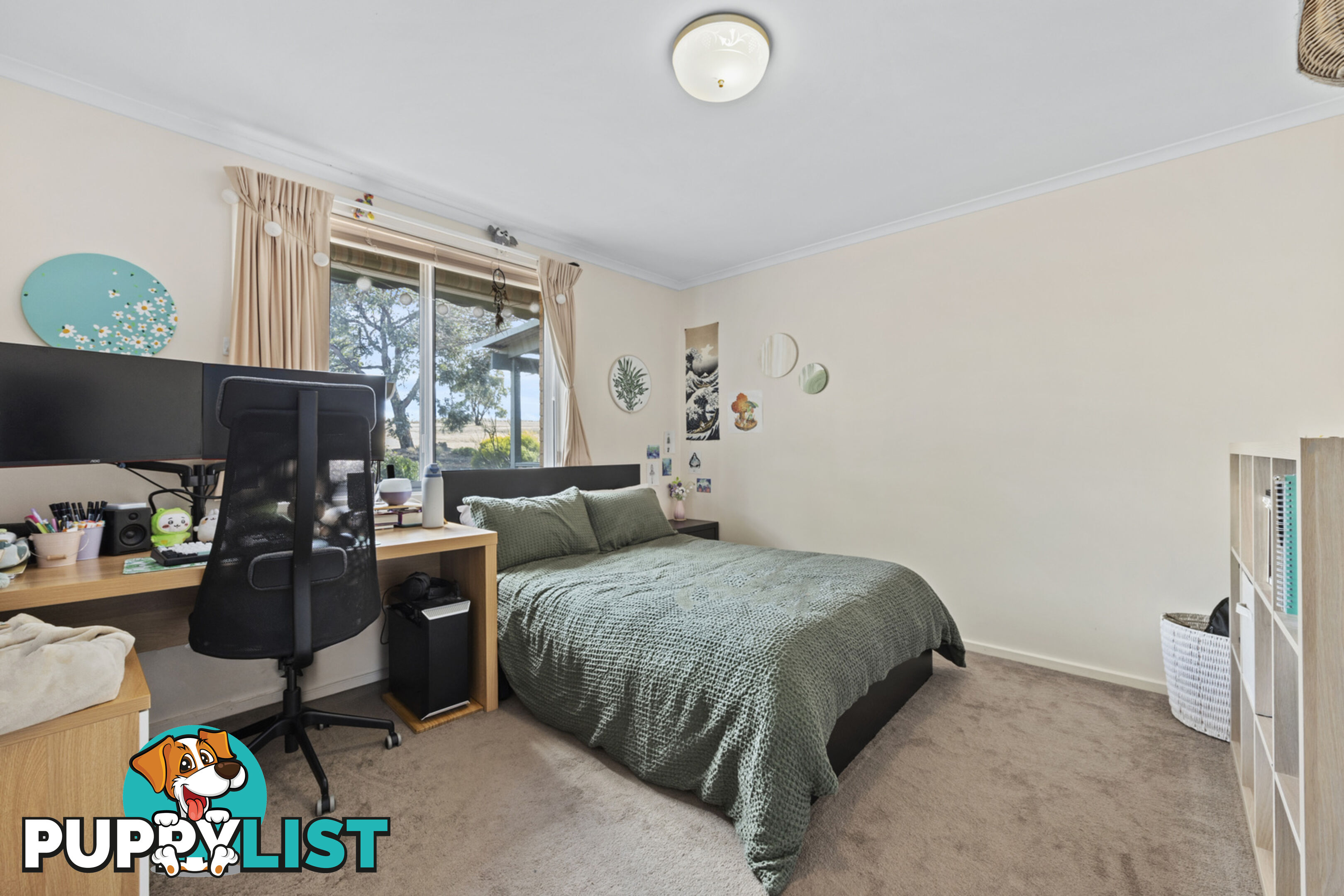 19 Darwinia Terrace RIVETT ACT 2611