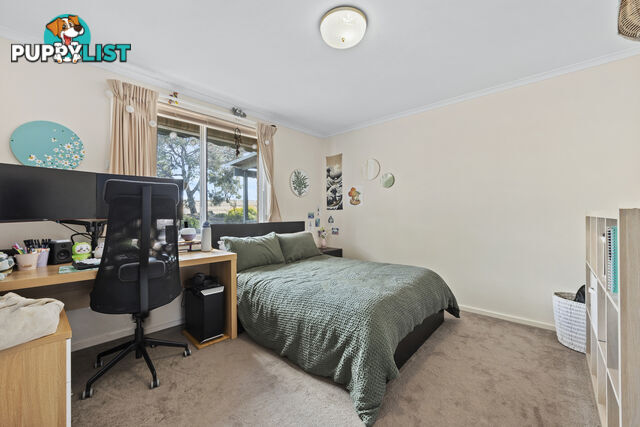 19 Darwinia Terrace RIVETT ACT 2611