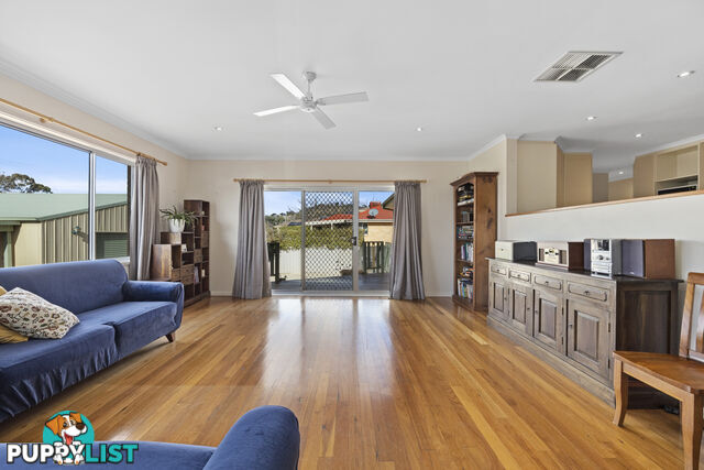 19 Darwinia Terrace RIVETT ACT 2611