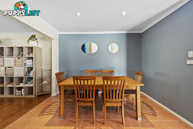 19 Darwinia Terrace RIVETT ACT 2611