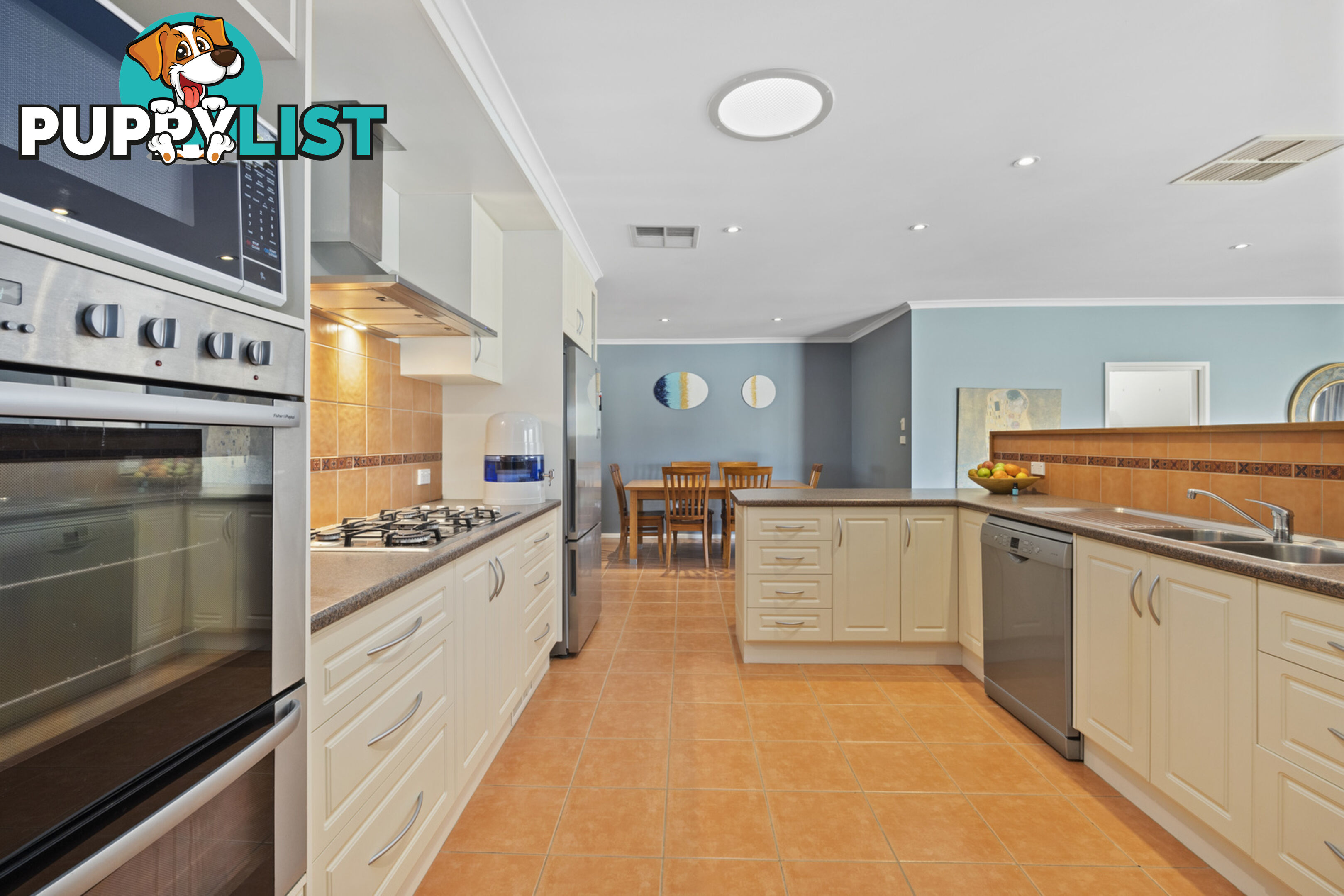 19 Darwinia Terrace RIVETT ACT 2611