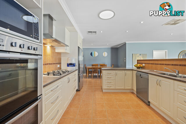 19 Darwinia Terrace RIVETT ACT 2611
