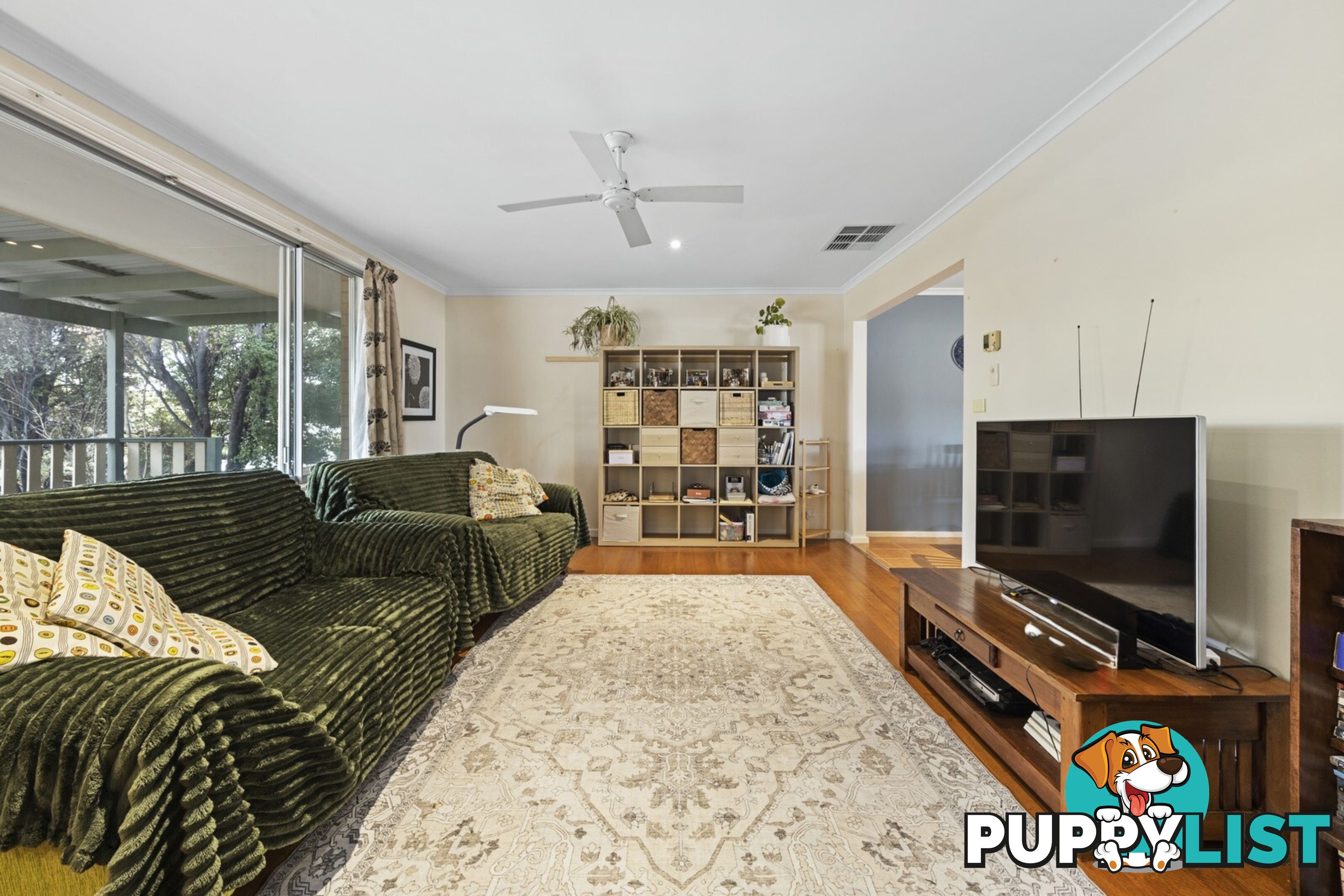 19 Darwinia Terrace RIVETT ACT 2611